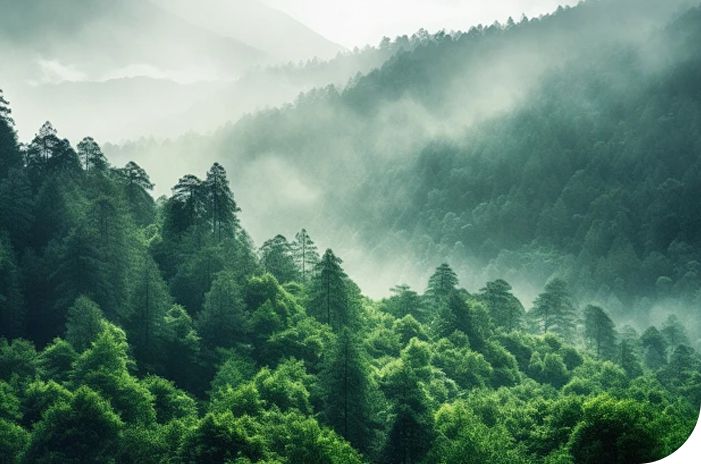 Created with craftsmanship, a green future Created with craftsmanship, a green future